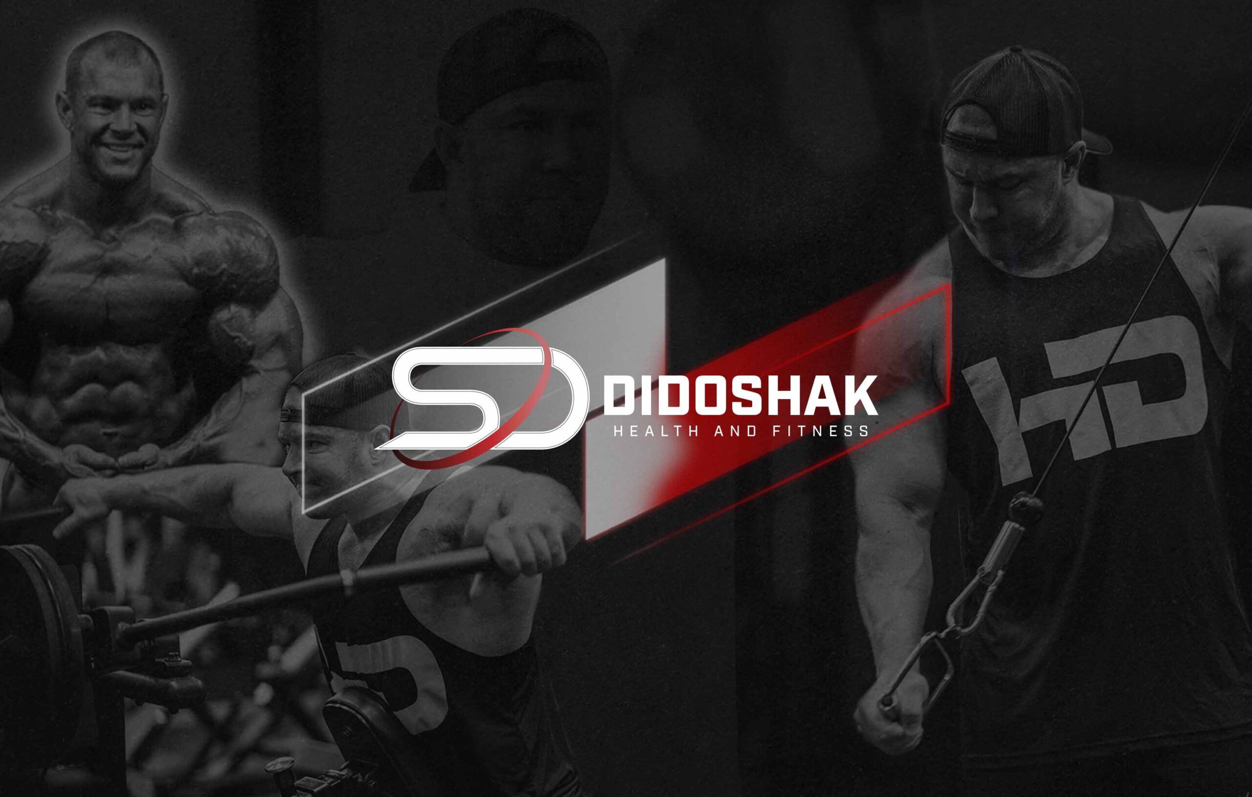 Stephen Didoshak